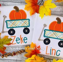 Boy Pumpkin/Fall  applique shirts